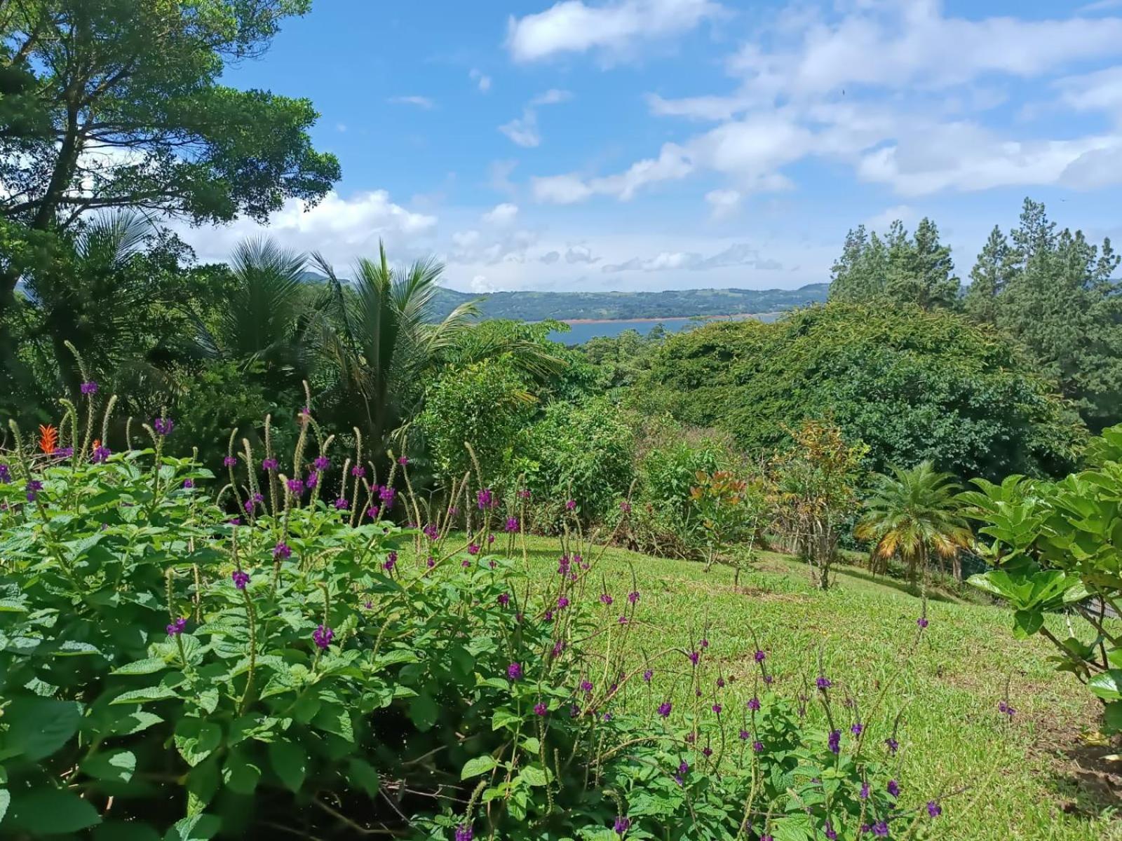 Lakegardens Arenal Condos Nuevo Arenal Eksteriør bilde