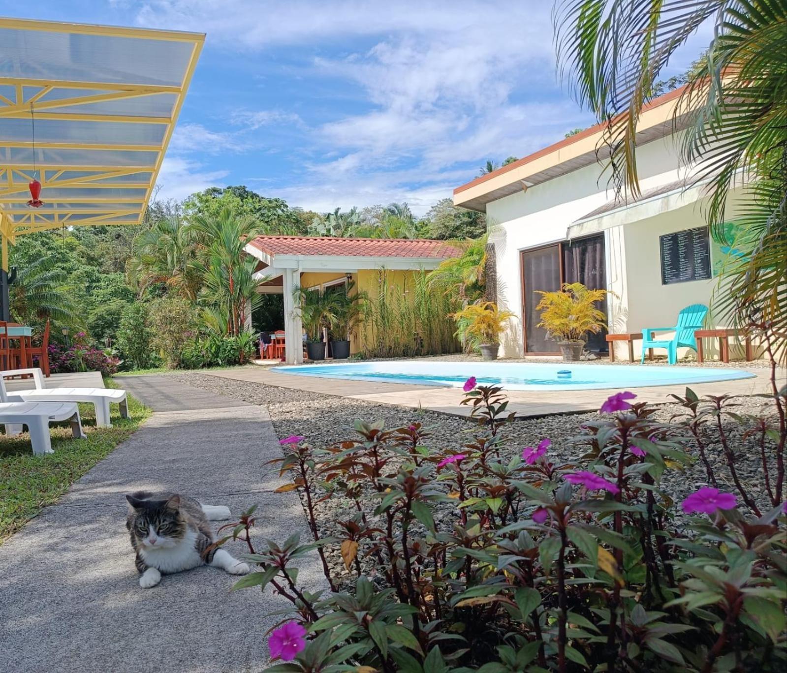 Lakegardens Arenal Condos Nuevo Arenal Eksteriør bilde
