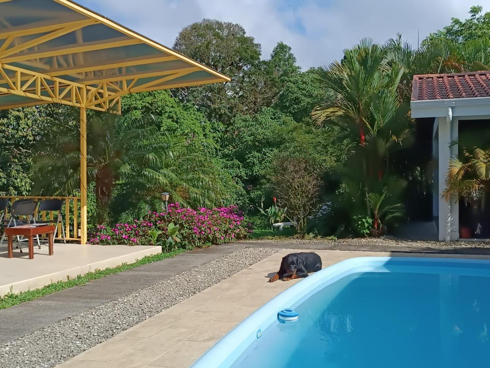 Lakegardens Arenal Condos Nuevo Arenal Eksteriør bilde