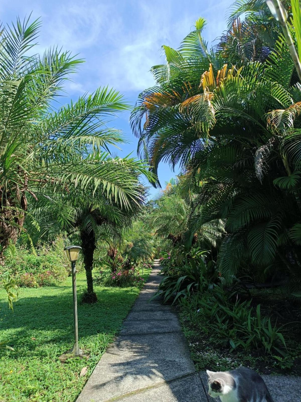 Lakegardens Arenal Condos Nuevo Arenal Eksteriør bilde